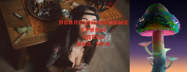 мяу мяу мука Магадан
