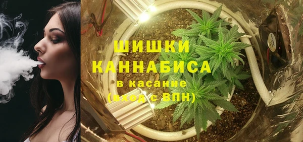молекула духа Майский
