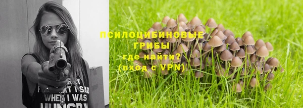 кокс Абаза