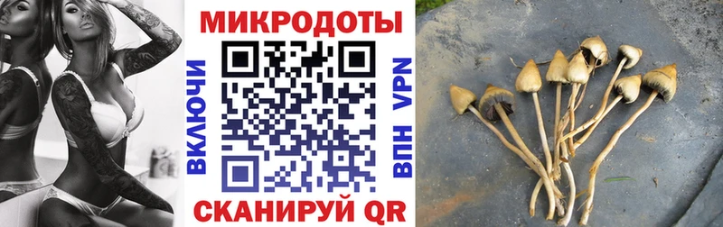 что такое   даркнет какой сайт  Псилоцибиновые грибы Psilocybe  Оренбург 
