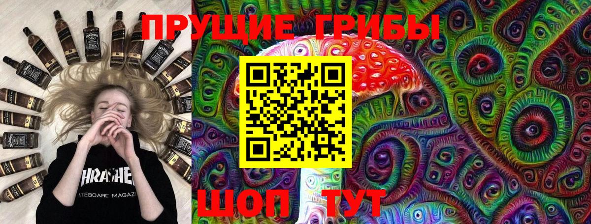 Оренбург  Псилоцибиновые грибы Psilocybine cubensis  Вход с VPN 